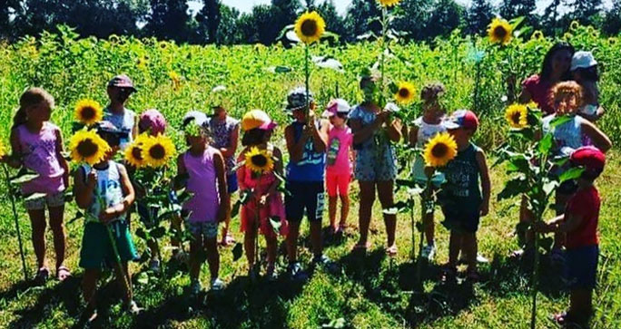 San Biagio di Callalta Agriturismo Natura Salute centri estivi