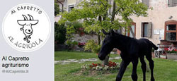 SAN VENDEMIANO SACCON AL CAPRETTO AGRITURISMO